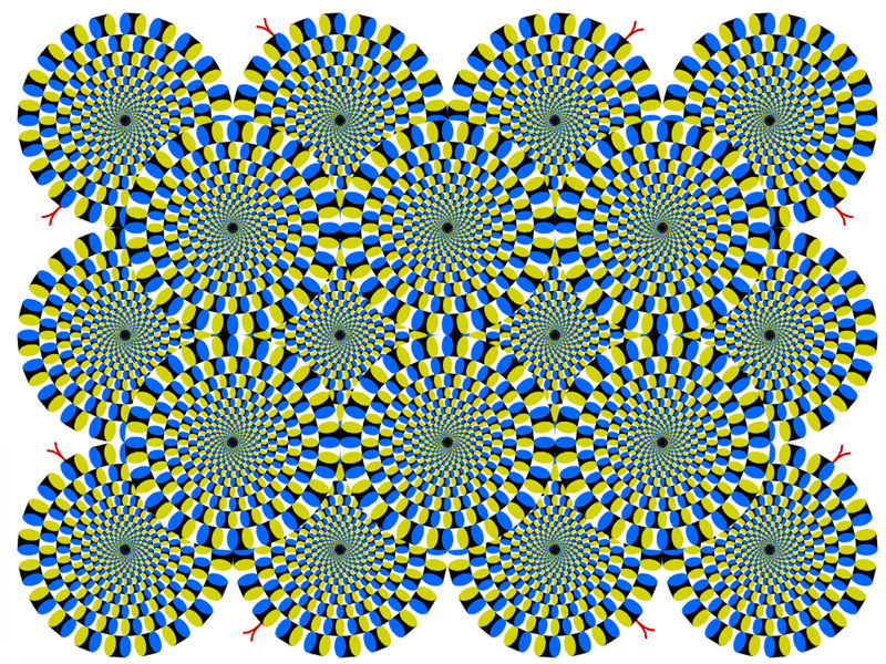 1426668961_www_urdjuret_com_optical_illusion_movingstill01.jpg
