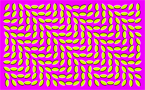 1426668961_www_urdjuret_com_optical_illusion_movingstill02.gif