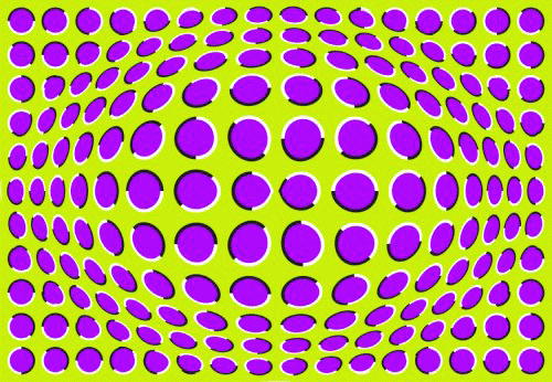 1426668961_www_urdjuret_com_optical_illusion_movingstill04.gif