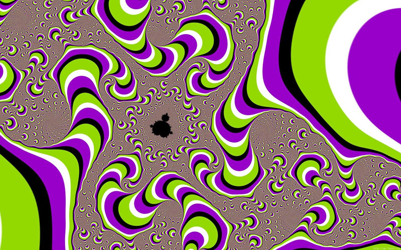 1426668961_www_urdjuret_com_optical_illusion_movingstill23.jpg